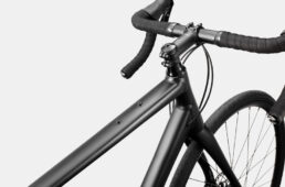 キャノンデール・シナプス３