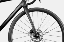 キャノンデール・シナプス３