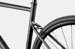 キャノンデール・シナプス３