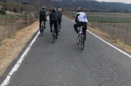 猪野学　ネオ坂バカ奮”登”記　第16回