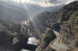 猪野学　ネオ坂バカ奮”登”記　第16回