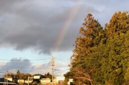 猪野学　ネオ坂バカ奮”登”記　第16回