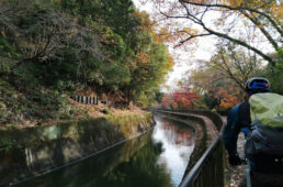 ビワイチモニターツアー第3弾