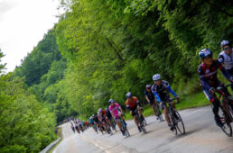 イベントアンケート