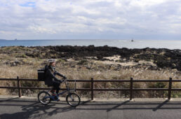 GOTO-CHIハンティング