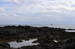 凹凸の溶岩海岸