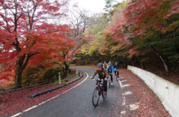 オクイチの最高地点への上り