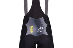 Q36.5プロチームビブショーツの背面