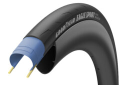 グッドイヤー2023