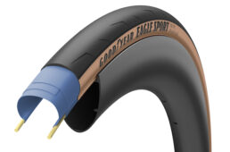 グッドイヤー2023