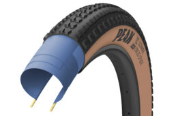 グッドイヤー2023