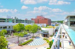 星が丘サイクルロードレース