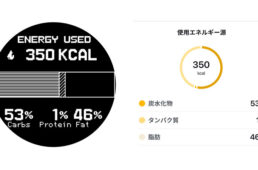 GBD-H2000でのエネルギー分析