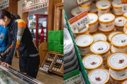 道の駅たまつくりのアイス