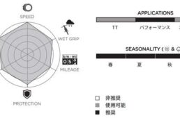 ピレリ・PゼロレースTLR スピードコア