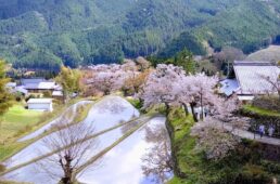 ツール・ド・津２