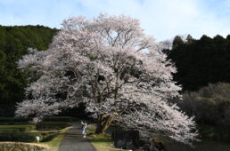 ツール・ド・津２