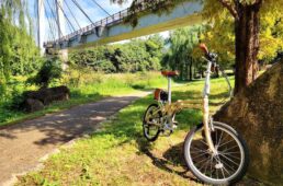 モトベロ星が丘