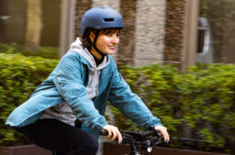 カブト・キャンバスクロス