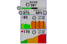 リアルタイムスタミナを走行中に表示させているときの画面イメージ