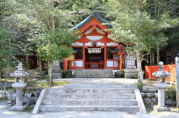 ツール・ド・津２