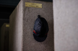 サンティーニ・2023クラシックレース・コレクション