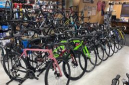 オリーブサイクル「スプリングセール」