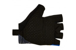 サンティーニ・2023クラシックレース・コレクション