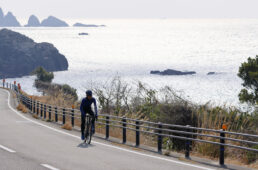 わかやまの紺碧の海と翠色の山