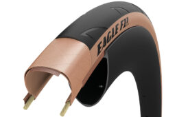 イーグルF1Rクリンチャーの断面図