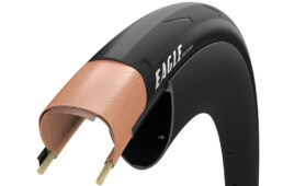 イーグルチューブレスレディの断面図