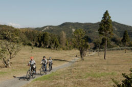 淡路島の隠れたスポットを行くツアー