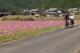 丹波サイクリング協会のサイクリングツアー