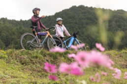 解説する松井さん