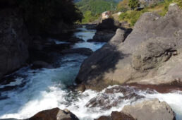 恐竜の営巣地跡