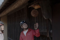 造り酒屋の杉玉