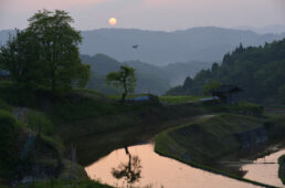 水が入った棚田