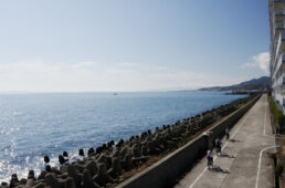 海沿いの道を潮風と太陽を感じながらゆっくりと走る