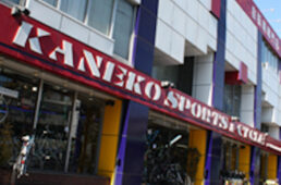 カネコイングス