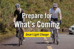 ブライトン・ガーディアR300L