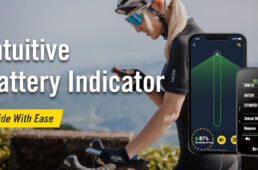 ブライトン・ガーディアR300L