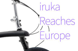 イルカがヨーロッパで本格販売のバナー