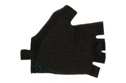 サンティーニ・2023クラシックレース・コレクション