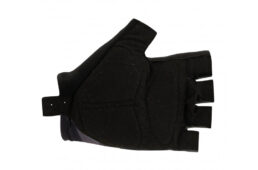 サンティーニ・2023クラシックレース・コレクション