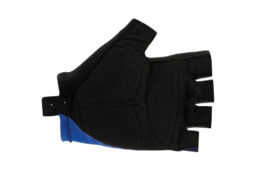 サンティーニ・2023クラシックレース・コレクション