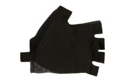 サンティーニ・2023クラシックレース・コレクション