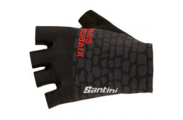 サンティーニ・2023クラシックレース・コレクション