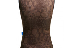 サンティーニ・2023クラシックレース・コレクション