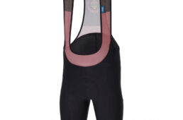 サンティーニ・2023クラシックレース・コレクション