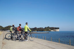 阿尾城跡を比美乃江公園から眺める